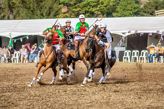 刘圣书